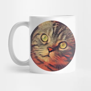 Adorable floppy cat Mug